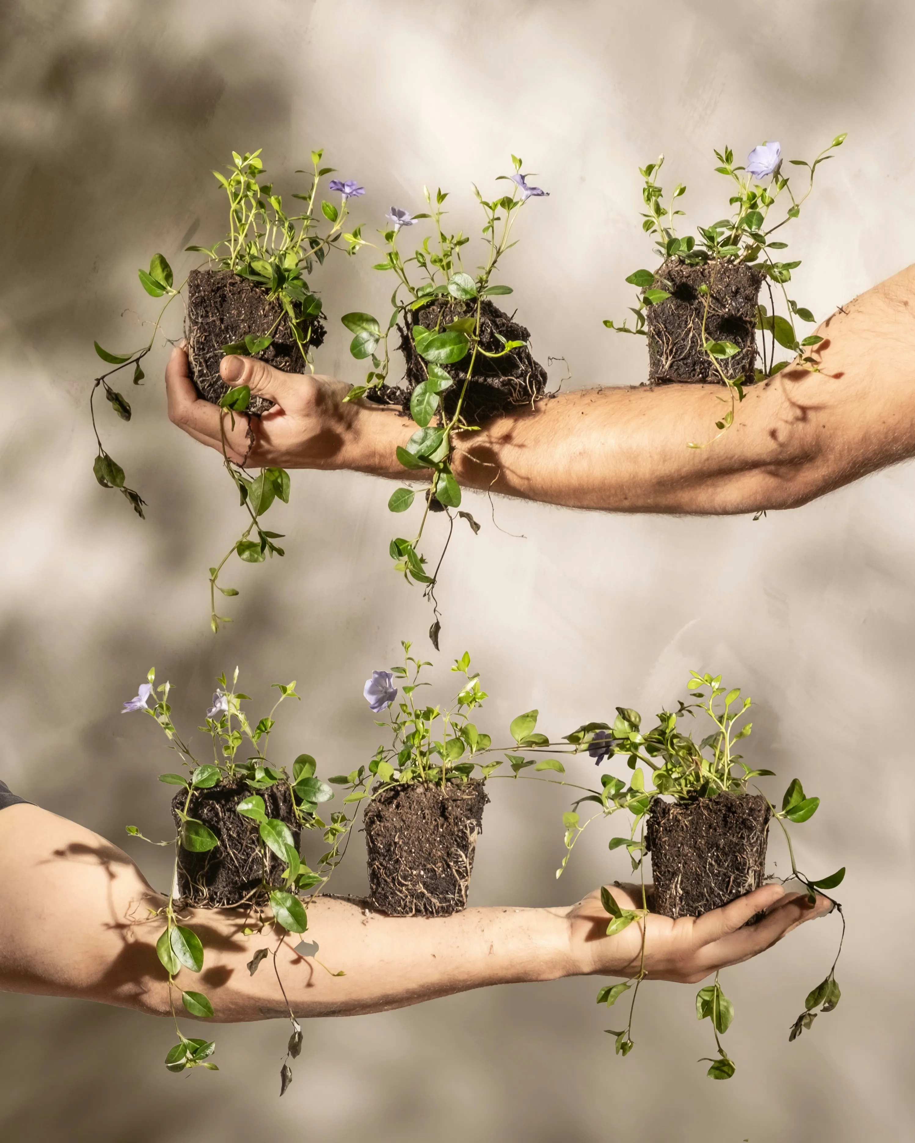 Our Sustainable Materials